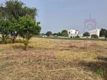 Terreno para Venda em Cartaxo e Vale da Pinta