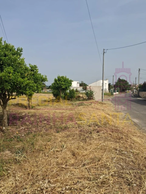 Terreno para Venda em Cartaxo e Vale da Pinta
