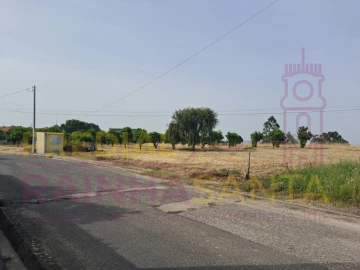 Terreno para Venda em Cartaxo e Vale da Pinta
