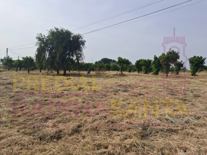 Terreno para Venda em Cartaxo e Vale da Pinta Foto 7