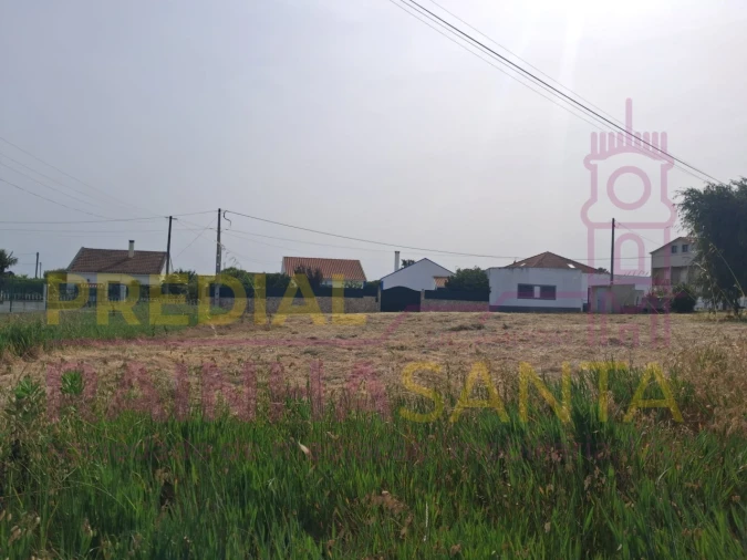 Terreno para Venda em Cartaxo e Vale da Pinta Foto 8