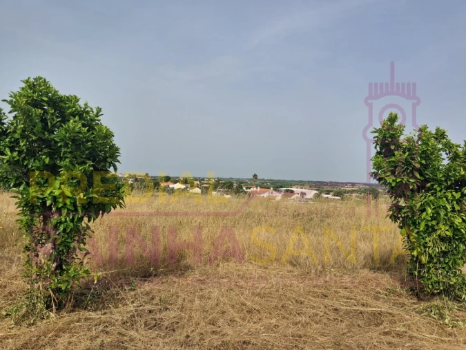 Terreno para Venda em Cartaxo e Vale da Pinta Foto 10