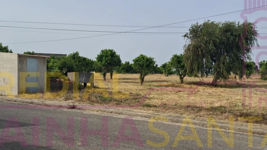 Terreno para Venda em Cartaxo e Vale da Pinta