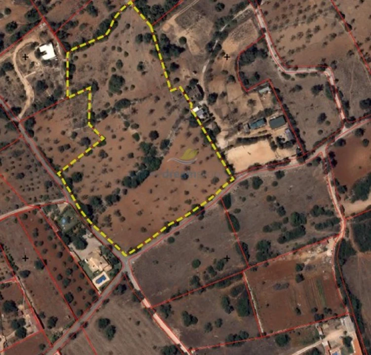 Terreno Misto para Venda em Ferreiras Foto 9