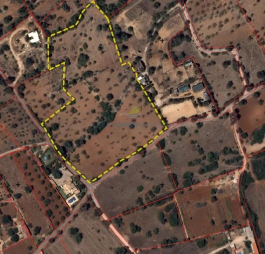 Terreno Misto para Venda em Ferreiras Foto 9