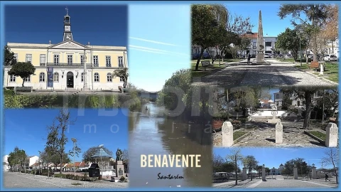 Apartamento T1 para Venda em Benavente