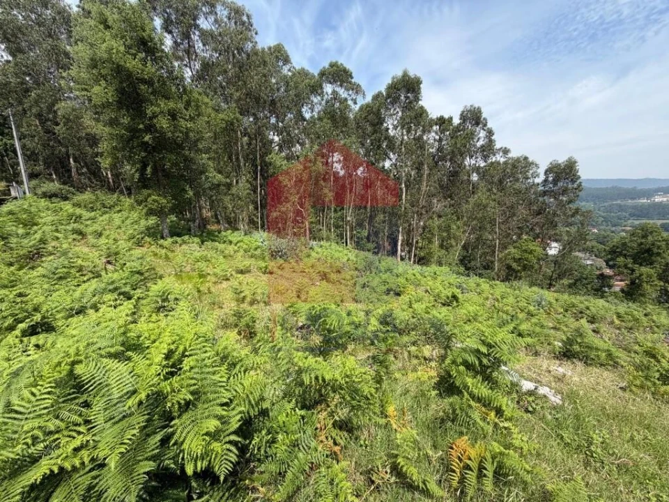 Moradia T3 para Venda em Vila Verde e Barbudo Foto 10