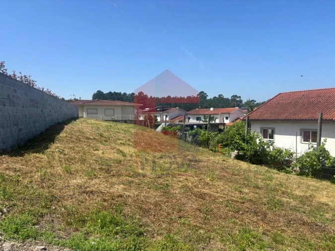 Terreno para Venda em Bico Foto 2