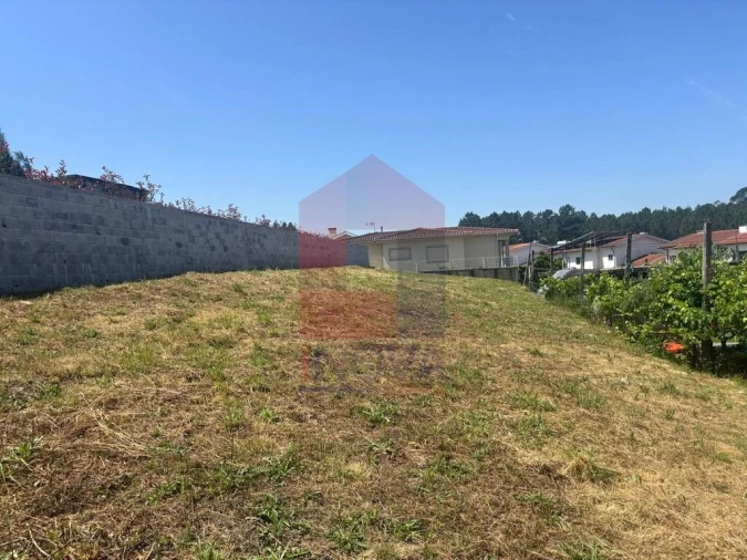 Terreno para Venda em Bico Foto 8