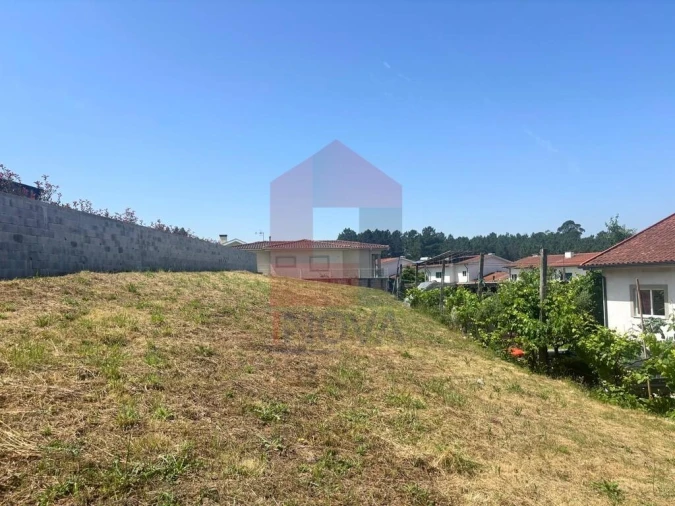 Terreno para Venda em Bico Foto 5