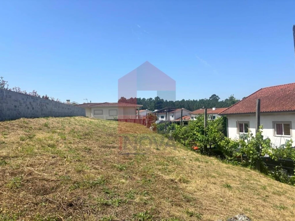 Terreno para Venda em Bico Foto 3