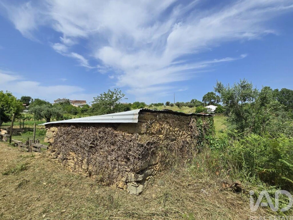 Terreno para Venda em Poiares (Santo Andre) Foto 20