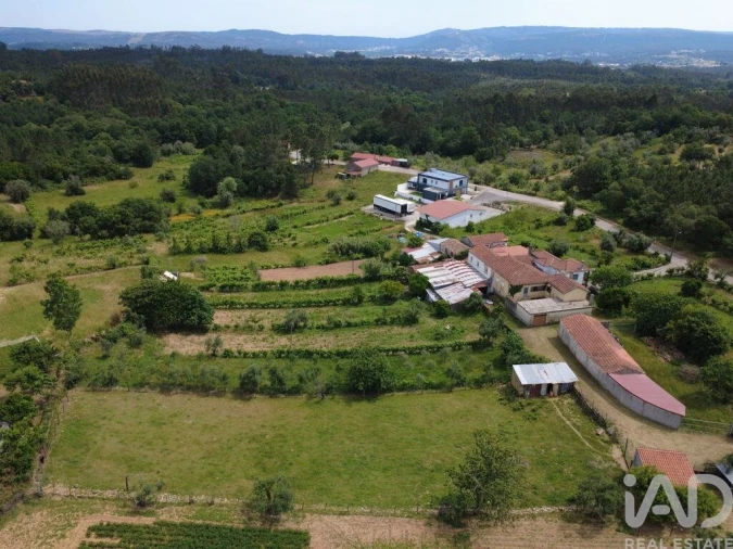 Terreno para Venda em Poiares (Santo Andre) Foto 11