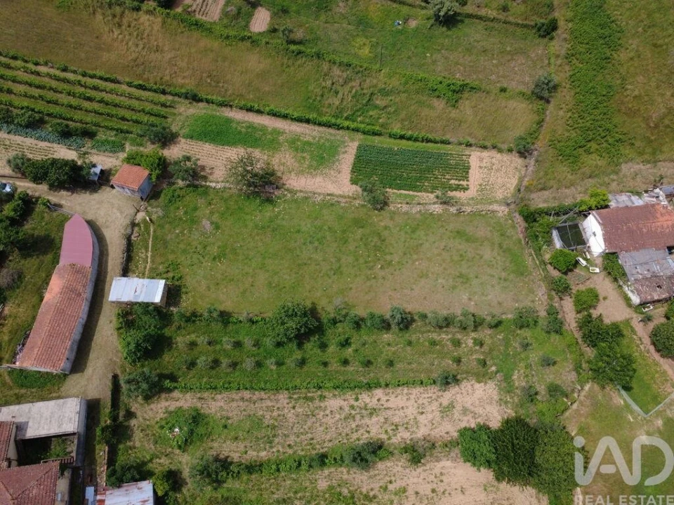 Terreno para Venda em Poiares (Santo Andre) Foto 6