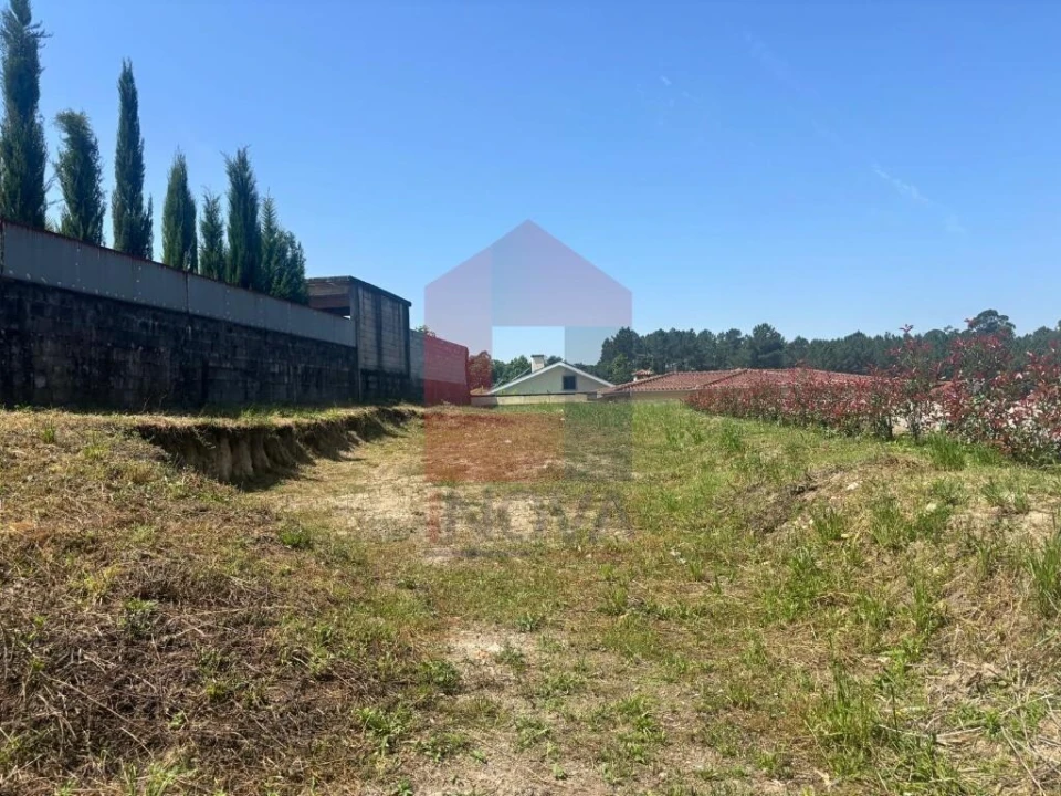 Terreno para Venda em Bico Foto 11