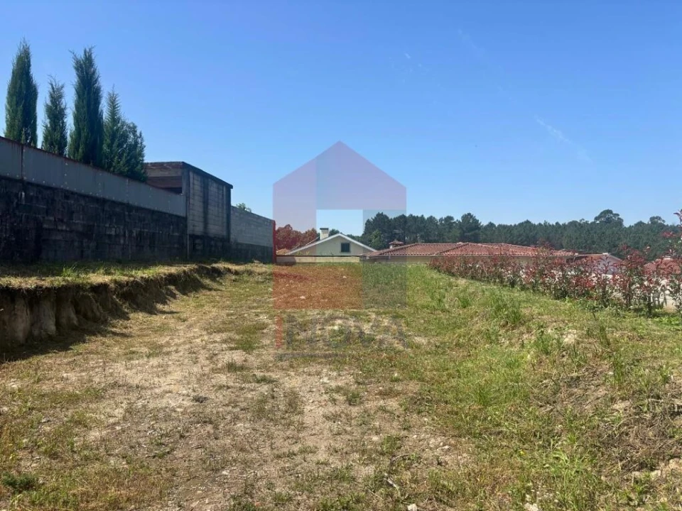 Terreno para Venda em Bico Foto 16