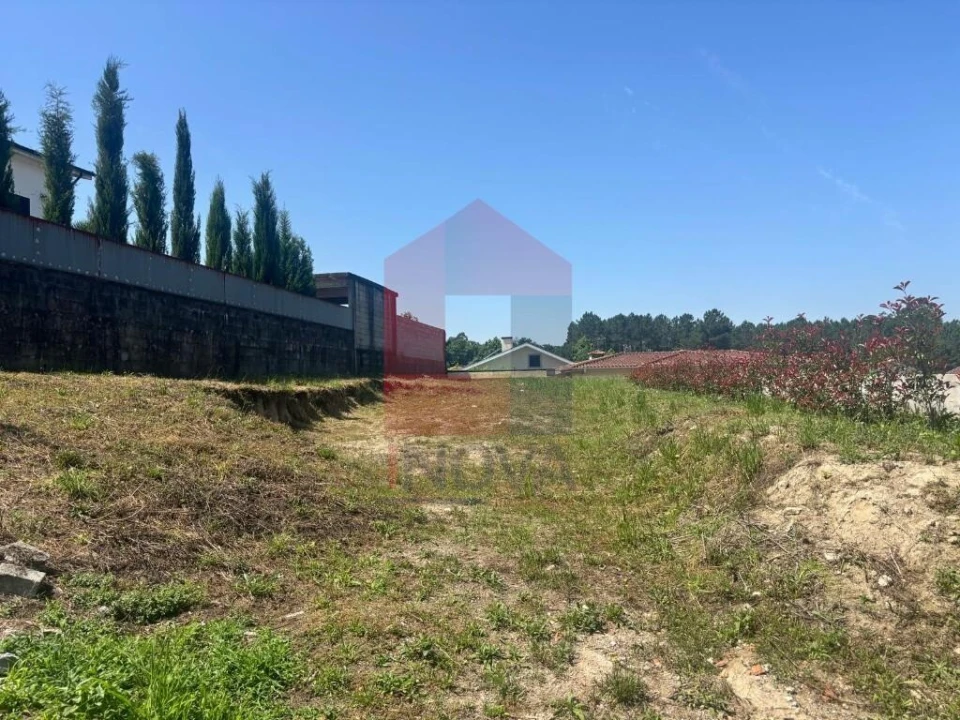 Terreno para Venda em Bico Foto 10