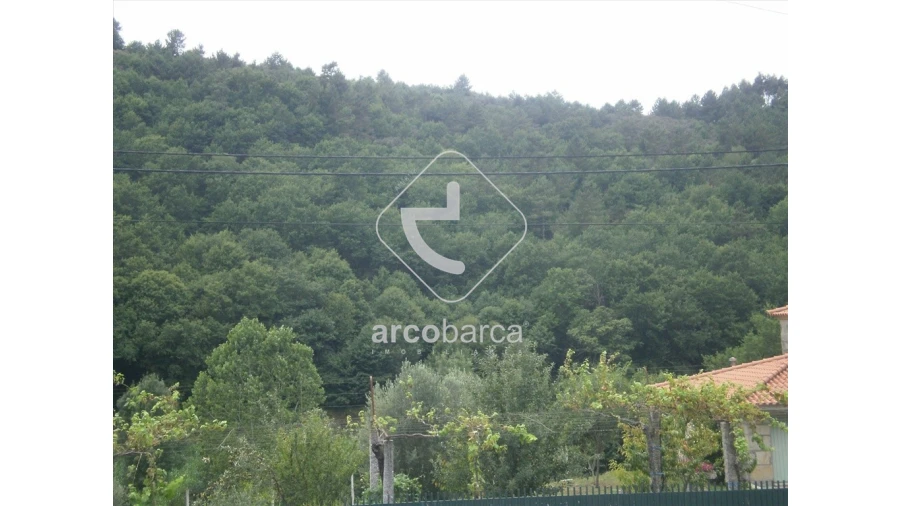 Terreno para Venda em Vade (São Pedro) Foto 11