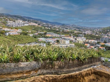 Apartamento T2 para Venda em Camara de Lobos