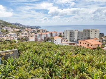 Apartamento T2 para Venda em Camara de Lobos