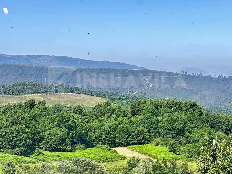 Moradia T3 para Venda em Montaria Foto 30