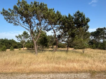 Terreno para Venda em Praia de Mira