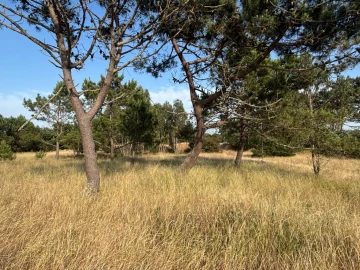 Terreno para Venda em Praia de Mira