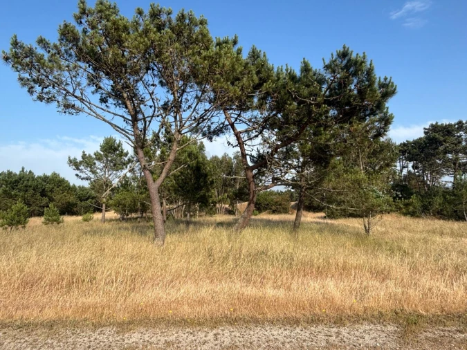 Terreno para Venda em Praia de Mira Foto 11