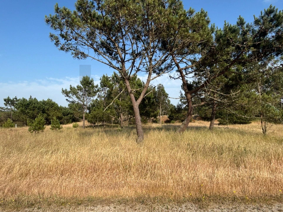 Terreno para Venda em Praia de Mira Foto 10