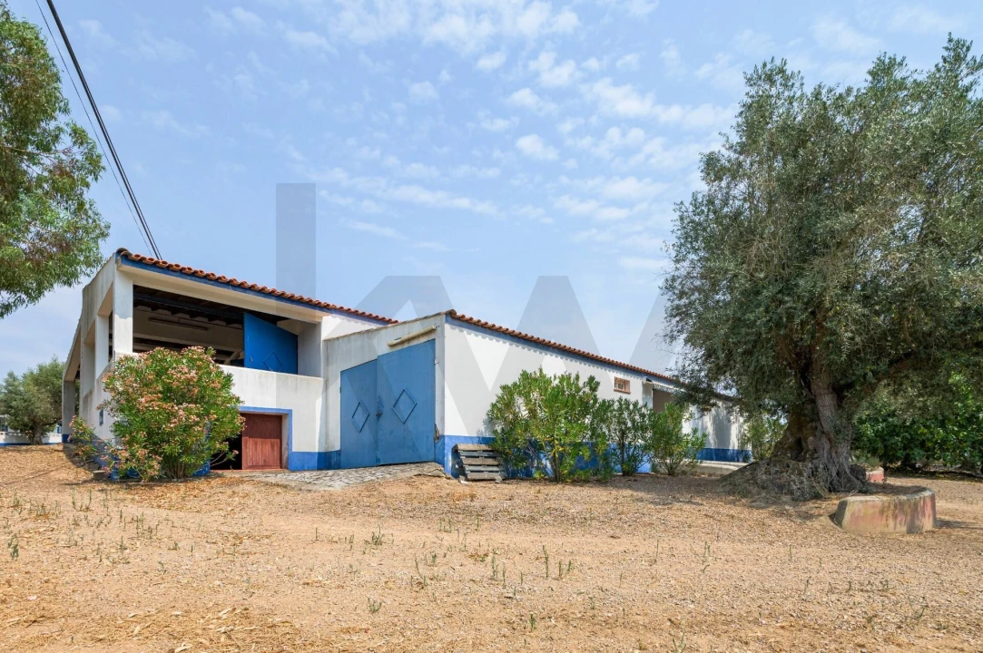 Quinta T5 para Venda em Figueira e Barros Foto 39