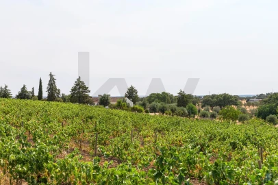 Quinta T5 para Venda em Figueira e Barros