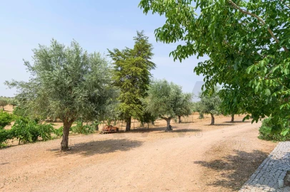 Quinta T5 para Venda em Figueira e Barros