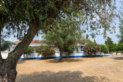 Quinta T5 para Venda em Figueira e Barros