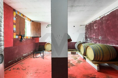 Quinta T5 para Venda em Figueira e Barros
