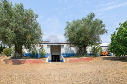 Quinta T5 para Venda em Figueira e Barros