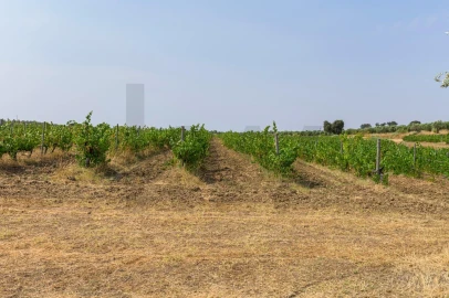 Quinta T5 para Venda em Figueira e Barros