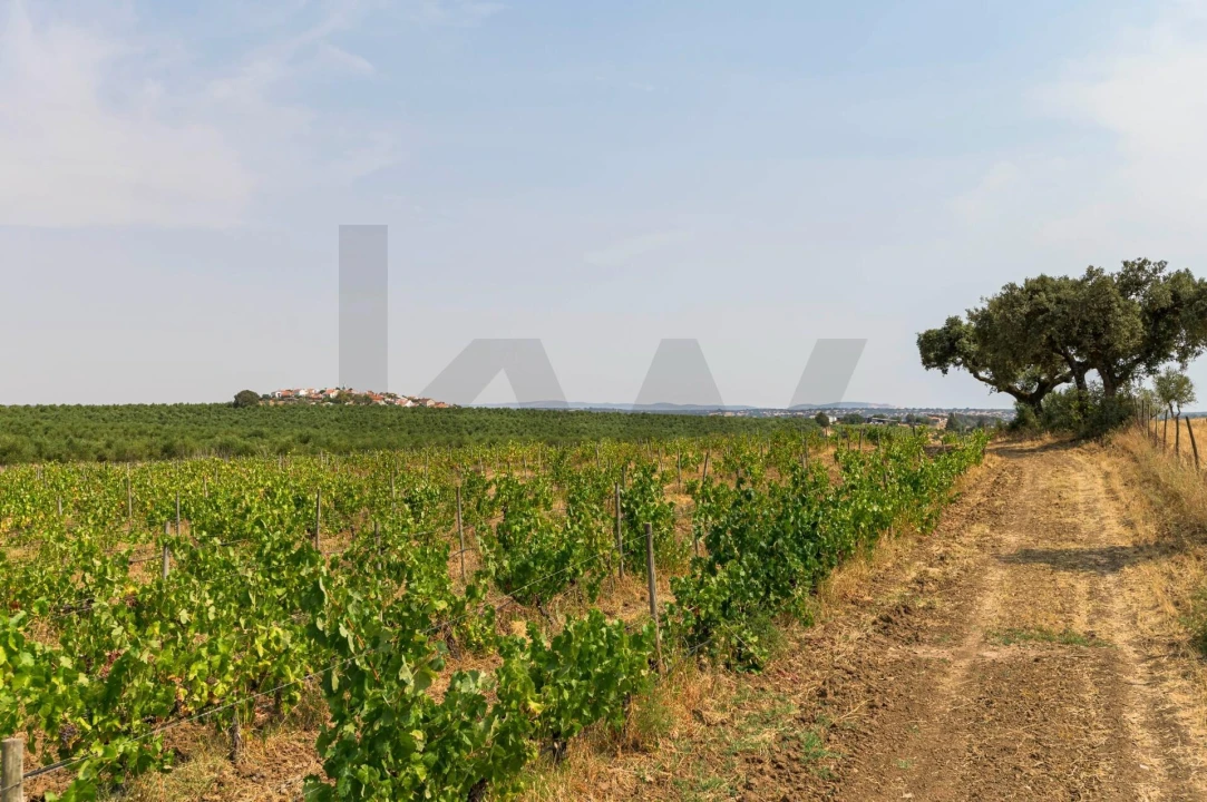 Quinta T5 para Venda em Figueira e Barros Foto 57