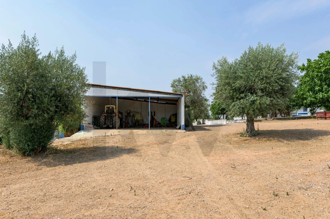 Quinta T5 para Venda em Figueira e Barros Foto 42