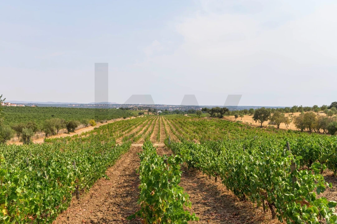 Quinta T5 para Venda em Figueira e Barros Foto 61