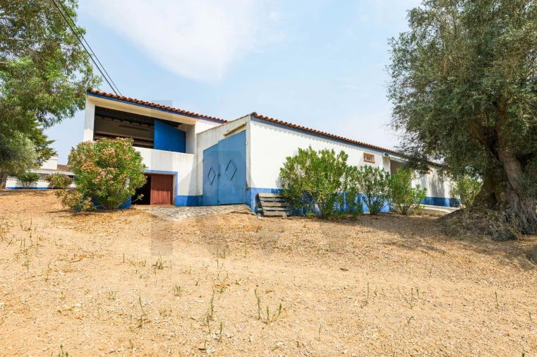 Quinta T5 para Venda em Figueira e Barros Foto 26