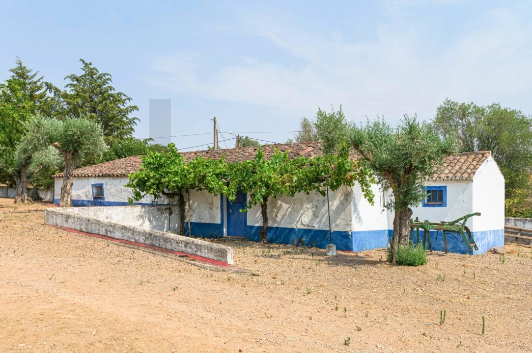 Quinta T5 para Venda em Figueira e Barros Foto 44