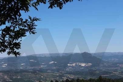 Quinta T5 para Venda em Ribas