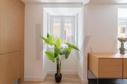 Apartamento T1 para Arrendamento em Santo António
