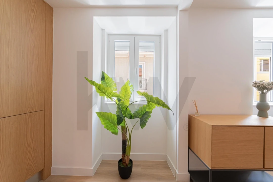 Apartamento T1 para Arrendamento em Santo António Foto 14