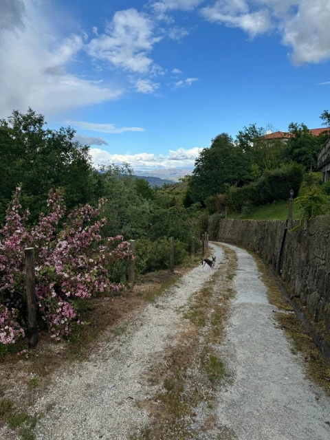 Moradia T2 para Venda em Ribas