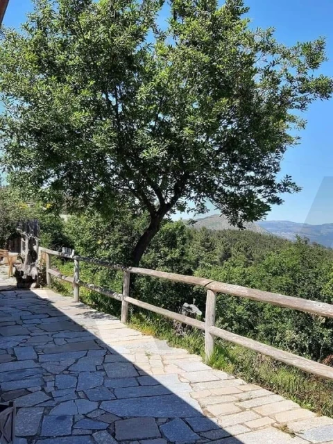 Moradia T2 para Venda em Ribas