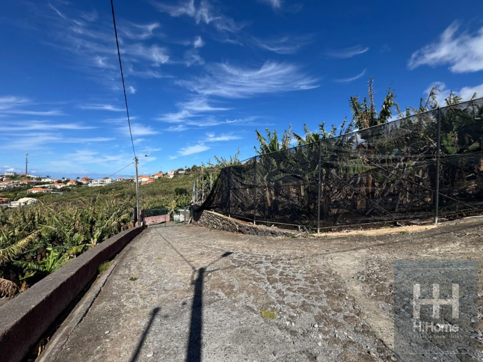 Terreno para Venda em Ponta do Sol Foto 11