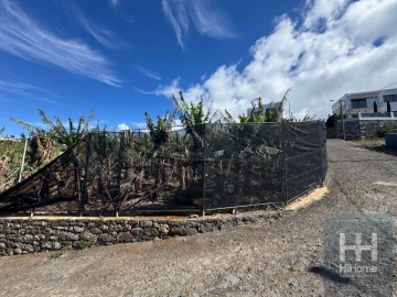 Terreno para Venda em Ponta do Sol