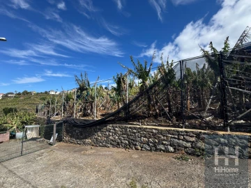 Terreno para Venda em Ponta do Sol