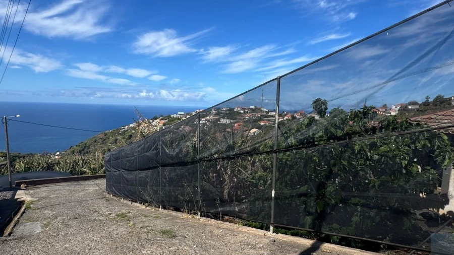 Terreno para Venda em Ponta do Sol